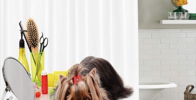 Juego de cortina de baño Yorkshire Terrier con artículos de aseo Tijeras de corte de pelo