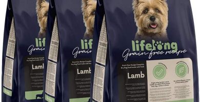 Lifelong Alimento seco completo para perros de razas pequeñas con cordero fresco, receta sin cereales