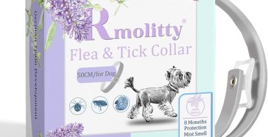 Rmolitty Collar Antiparasitos Perros, Tratamiento de pulgas de aceites Naturales para 8 Meses de protección