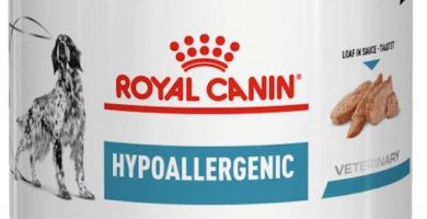 Royal Canin - Lata hipoalergénica para perro (12 x 200 g)