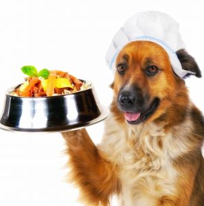 dieta natural para perros con insuficiencia renal