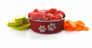dieta natural dieta barf perros con insuficiencia renal