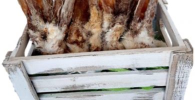 ALPHA SPIRIT Snack Natural CHUCHE para Perro - Oreja DE Conejo DESHIDRATADA con Pelo